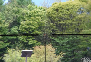 Video of the center fiber dot in March Shorty Scope dual reticle