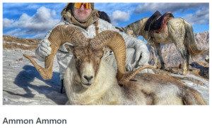 Exclusive interview with Ammon Ammon75, an anonymous hunter with an outstanding long range shooting ability, by RIFLE TALKS